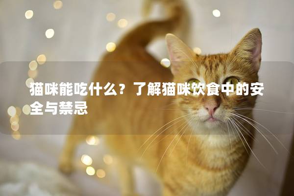 貓咪能吃什么？了解貓咪飲食中的安全與禁忌