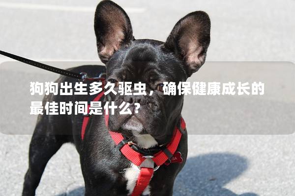 狗狗出生多久驅(qū)蟲，確保健康成長(zhǎng)的最佳時(shí)間是什么？