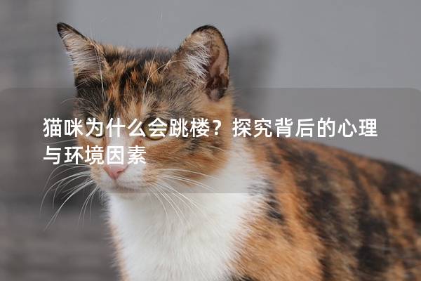 貓咪為什么會跳樓？探究背后的心理與環境因素