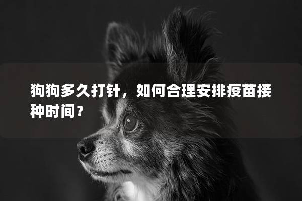 狗狗多久打針,如何合理安排疫苗接種時間? 狗狗多久打針,如何合理安排疫苗接種時間?