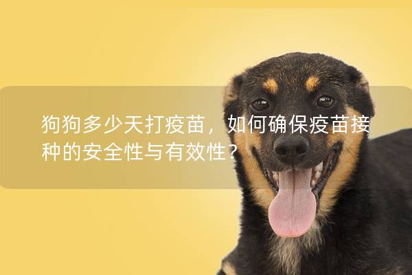 狗狗多少天打疫苗，如何確保疫苗接種的安全性與有效性？