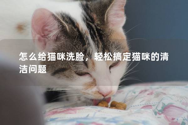 怎么給貓咪洗臉,輕松搞定貓咪的清潔問(wèn)題 怎么給貓咪洗臉,輕松搞定貓咪的清潔問(wèn)題