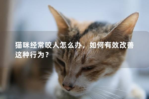 貓咪經常咬人怎么辦，如何有效改善這種行為？