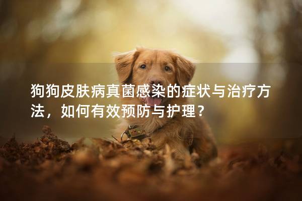 狗狗皮膚病真菌感染的癥狀與治療方法，如何有效預防與護理？
