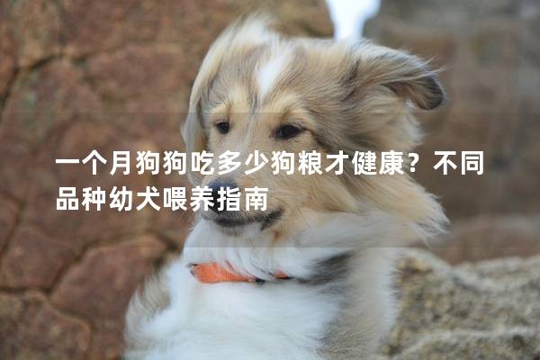 一個月狗狗吃多少狗糧才健康？不同品種幼犬喂養指南