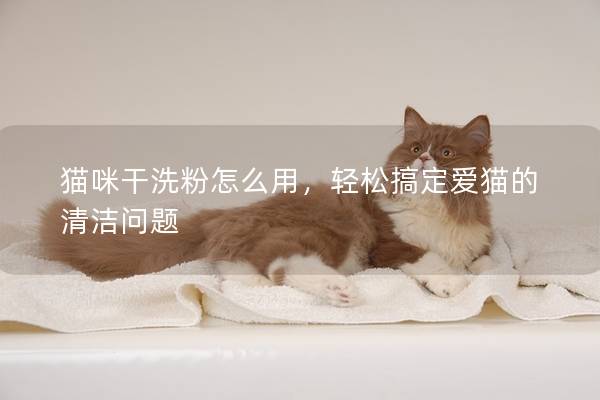 貓咪干洗粉怎么用，輕松搞定愛貓的清潔問題
