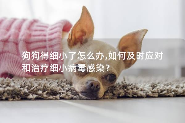 狗狗得細(xì)小了怎么辦,如何及時(shí)應(yīng)對和治療細(xì)小病毒感染？