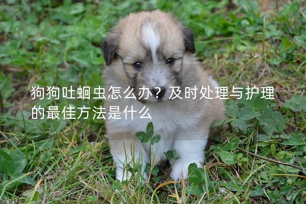 狗狗吐蛔蟲怎么辦？及時(shí)處理與護(hù)理的最佳方法是什么