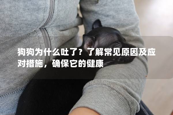 狗狗為什么吐了?了解常見原因及應對措施,確保它的健康 狗狗為什么吐了?了解常見原因及應對措施,確保它的健康