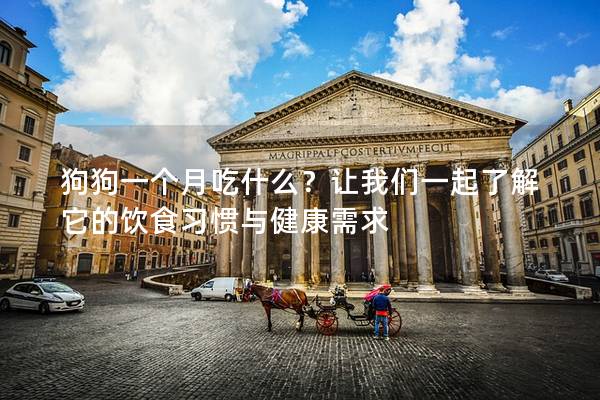 狗狗一個月吃什么?讓我們一起了解它的飲食習(xí)慣與健康需求 狗狗一個月吃什么?讓我們一起了解它的飲食習(xí)慣與健康需求