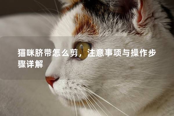 貓咪臍帶怎么剪，注意事項(xiàng)與操作步驟詳解