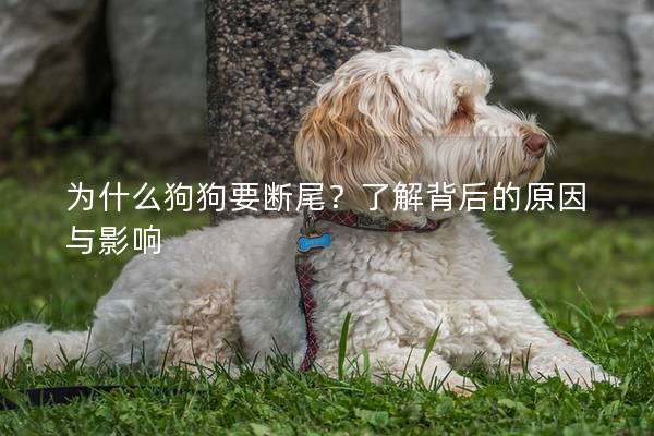 為什么狗狗要斷尾？了解背后的原因與影響