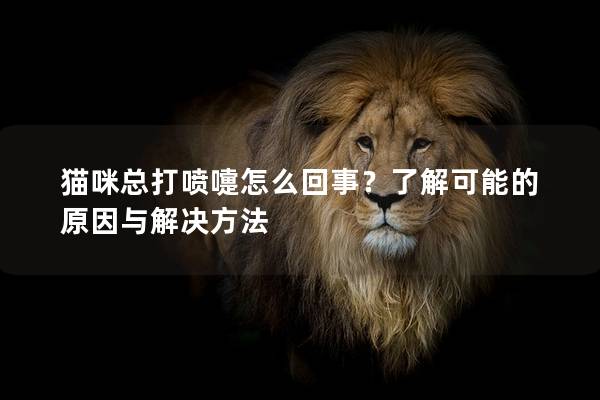貓咪總打噴嚏怎么回事？了解可能的原因與解決方法