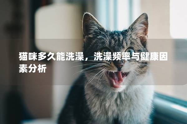 貓咪多久能洗澡，洗澡頻率與健康因素分析
