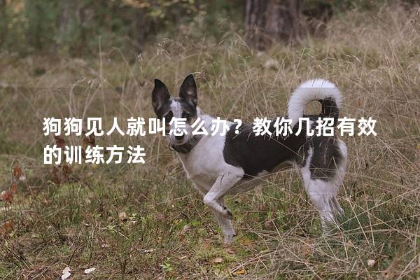 狗狗見人就叫怎么辦？教你幾招有效的訓練方法