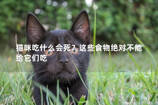 貓咪吃什么會死？這些食物絕對不能給它們吃