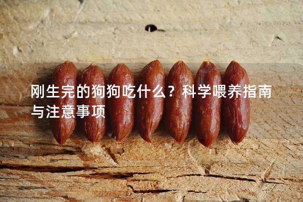 剛生完的狗狗吃什么？科學喂養指南與注意事項