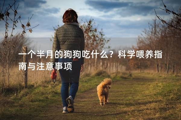 一個(gè)半月的狗狗吃什么？科學(xué)喂養(yǎng)指南與注意事項(xiàng)