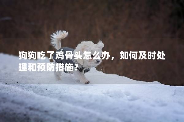 狗狗吃了雞骨頭怎么辦，如何及時(shí)處理和預(yù)防措施？