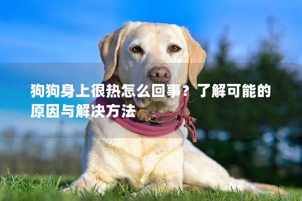 狗狗身上很熱怎么回事？了解可能的原因與解決方法