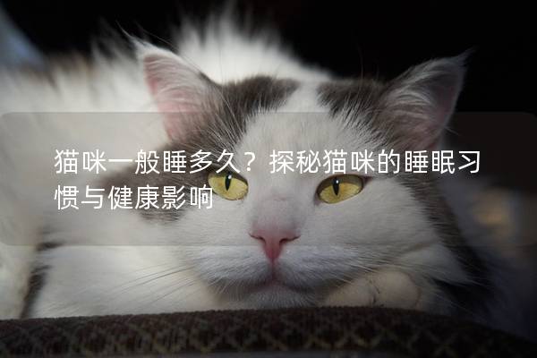 貓咪一般睡多久？探秘貓咪的睡眠習慣與健康影響