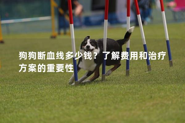 狗狗斷血線多少錢？了解費用和治療方案的重要性