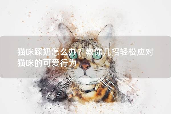 貓咪踩奶怎么辦？教你幾招輕松應對貓咪的可愛行為