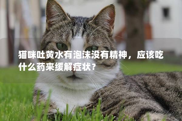 貓咪吐黃水有泡沫沒有精神，應該吃什么藥來緩解癥狀？