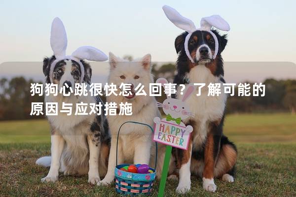 狗狗心跳很快怎么回事？了解可能的原因與應(yīng)對(duì)措施