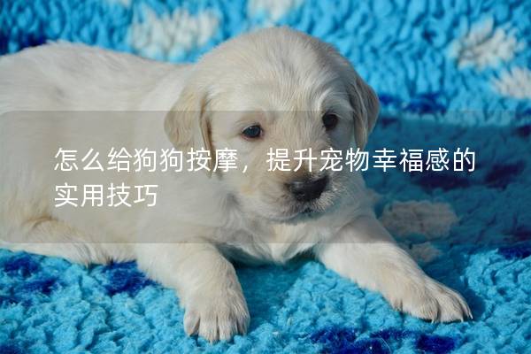 怎么給狗狗按摩，提升寵物幸福感的實(shí)用技巧