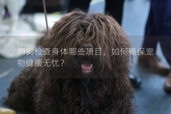 狗狗檢查身體哪些項目，如何確保寵物健康無憂？