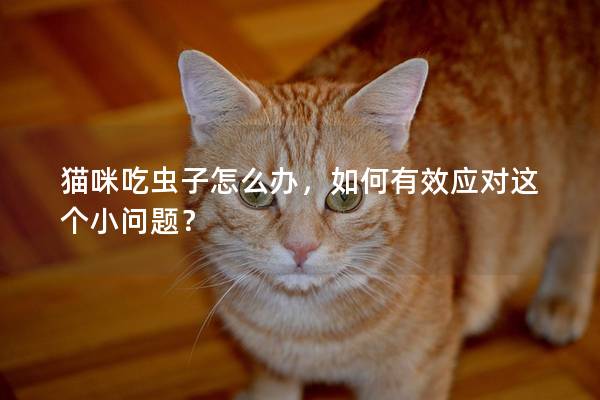 貓咪吃蟲子怎么辦，如何有效應(yīng)對(duì)這個(gè)小問題？