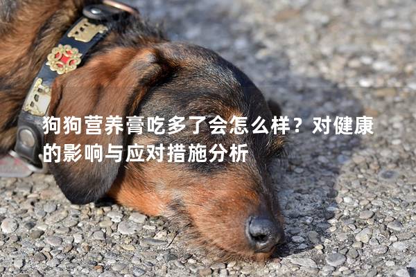 狗狗營養膏吃多了會怎么樣？對健康的影響與應對措施分析