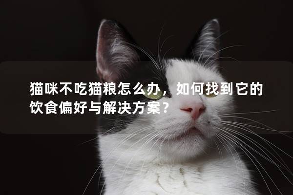 貓咪不吃貓糧怎么辦，如何找到它的飲食偏好與解決方案？
