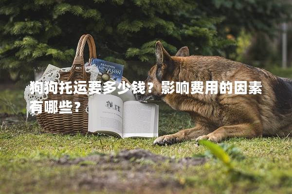 狗狗托運要多少錢？影響費用的因素有哪些？