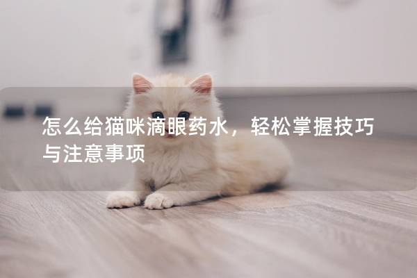 怎么給貓咪滴眼藥水，輕松掌握技巧與注意事項