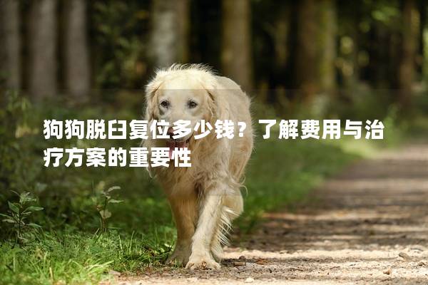 狗狗脫臼復(fù)位多少錢？了解費用與治療方案的重要性