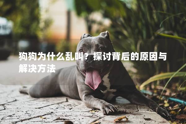 狗狗為什么亂叫？探討背后的原因與解決方法