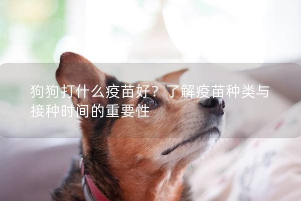 狗狗打什么疫苗好？了解疫苗種類與接種時間的重要性