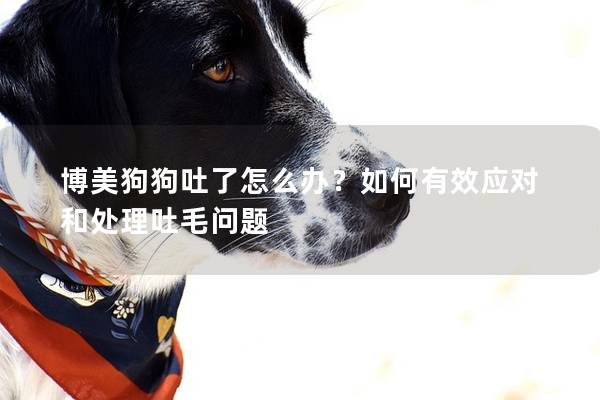 博美狗狗吐了怎么辦？如何有效應(yīng)對和處理吐毛問題