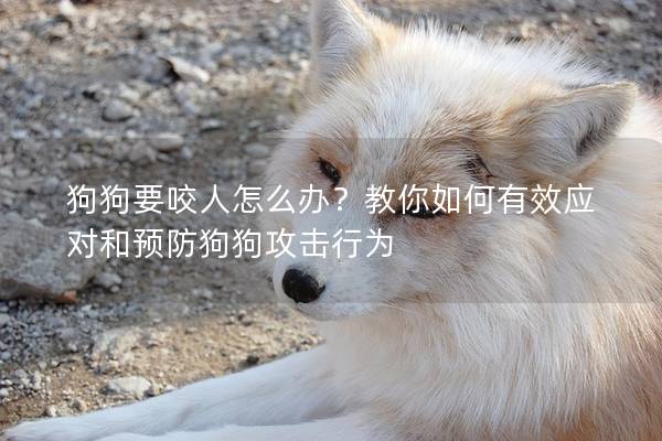狗狗要咬人怎么辦？教你如何有效應對和預防狗狗攻擊行為