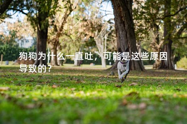 狗狗為什么一直吐，可能是這些原因?qū)е碌模?></em><p>狗狗為什么一直吐，可能是這些原因?qū)е碌模?/p><span>2025-05-08</span></a></li> 
                                            </ul>
                                        </div>

                                        <div   id=