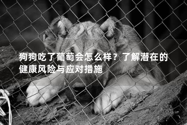 狗狗吃了葡萄會怎么樣？了解潛在的健康風險與應對措施