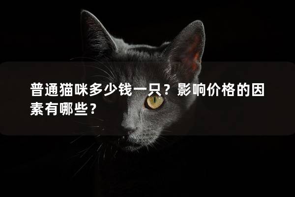 普通貓咪多少錢一只？影響價格的因素有哪些？