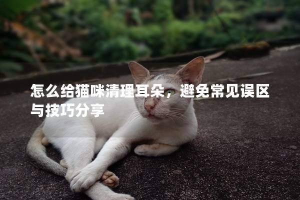 怎么給貓咪清理耳朵，避免常見誤區(qū)與技巧分享