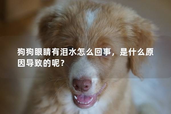 狗狗眼睛有淚水怎么回事，是什么原因?qū)е碌哪兀?></em><p>狗狗眼睛有淚水怎么回事，是什么原因?qū)е碌哪兀?/p><span>2025-04-02</span></a></li><li><a title=