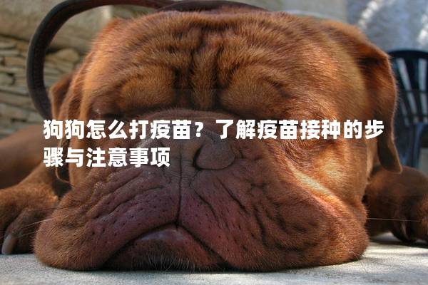 狗狗怎么打疫苗?了解疫苗接種的步驟與注意事項(xiàng) 狗狗怎么打疫苗?了解疫苗接種的步驟與注意事項(xiàng)