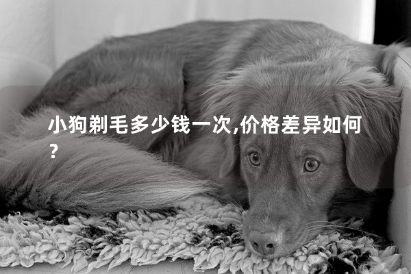 小狗剃毛多少錢一次,價格差異如何？