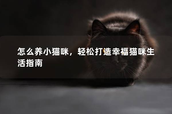 怎么養(yǎng)小貓咪，輕松打造幸福貓咪生活指南