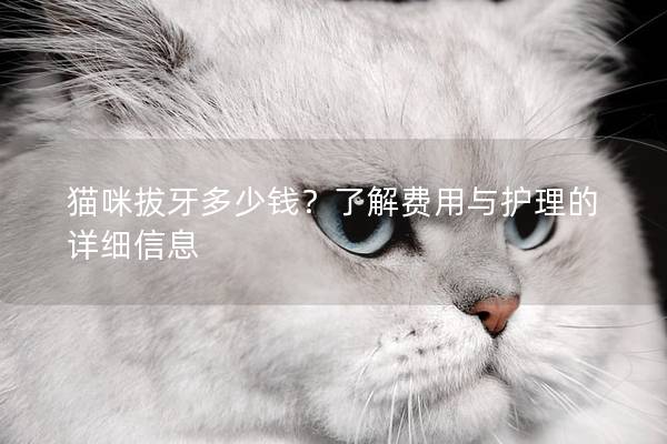 貓咪拔牙多少錢?了解費用與護理的詳細信息 貓咪拔牙多少錢?了解費用與護理的詳細信息